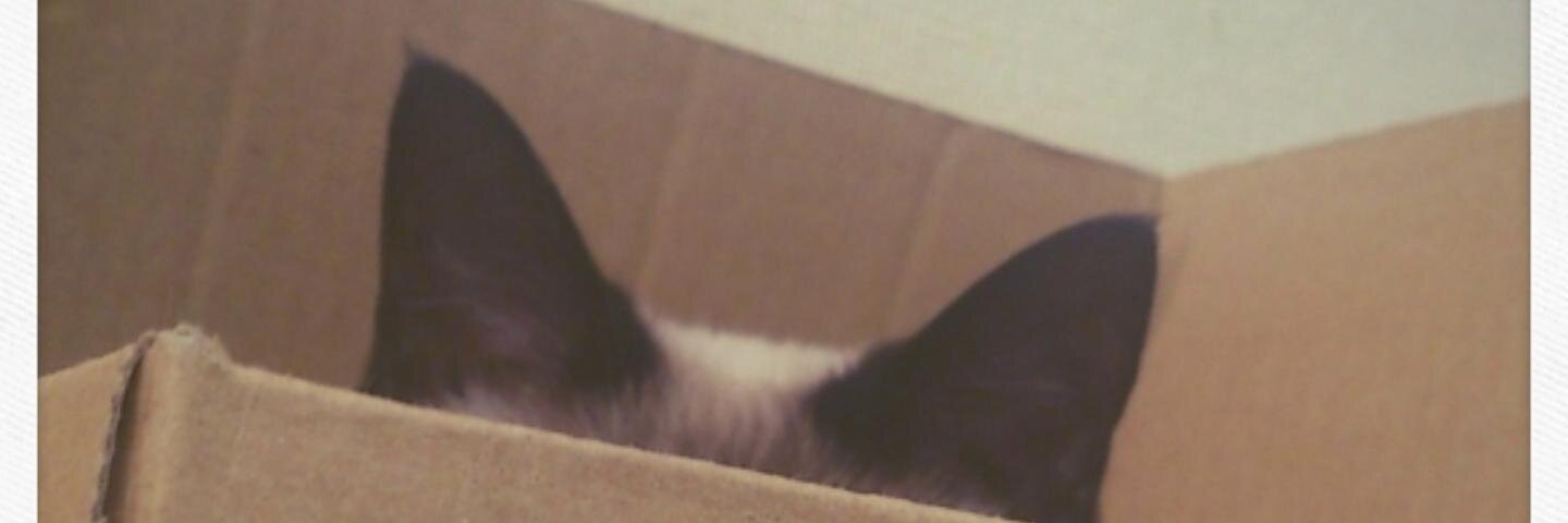 hoccho's profile banner image