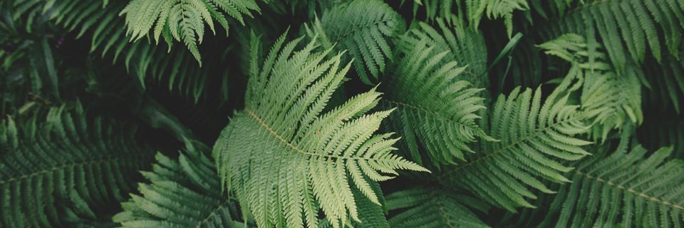 🌩 𝖓𝖆☿𝖆𝖑𝖎𝖊 🌩 banner