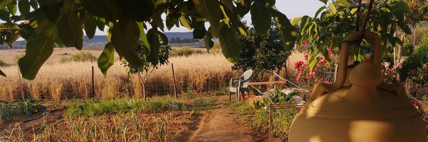 Antonio Jesús Cobos banner