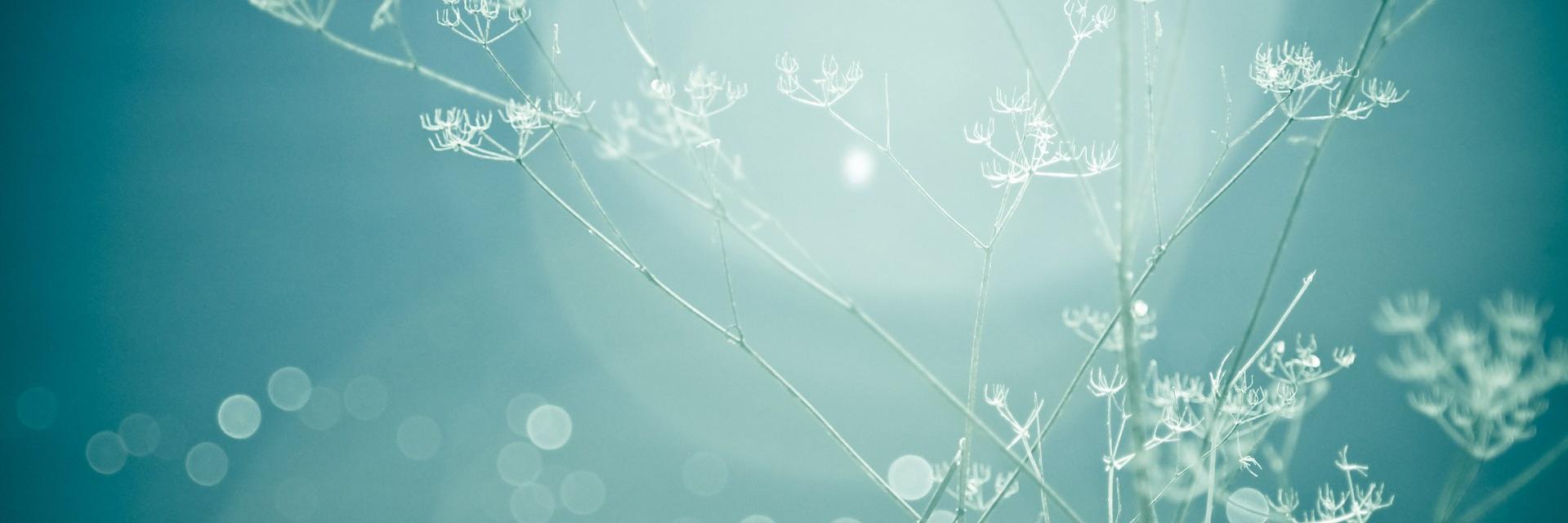 CoomansSimon's profile banner image