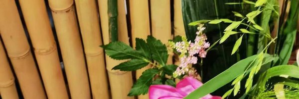 huangshsh9668 Profile Banner
