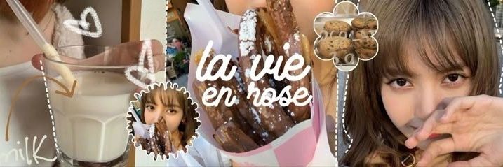 lica banner