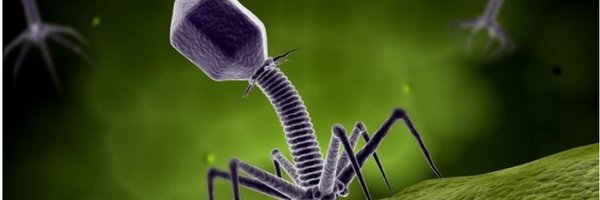 PhagesIPR Profile Banner