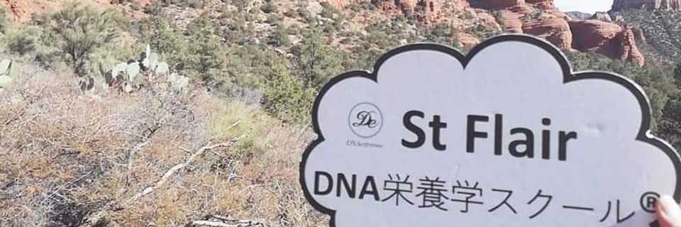 AkikoSakon's profile banner image