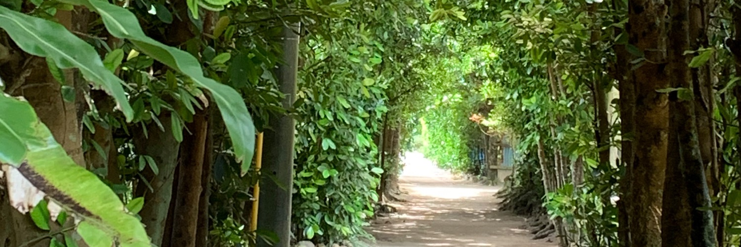 Plant Epigenetics Unit@OIST banner