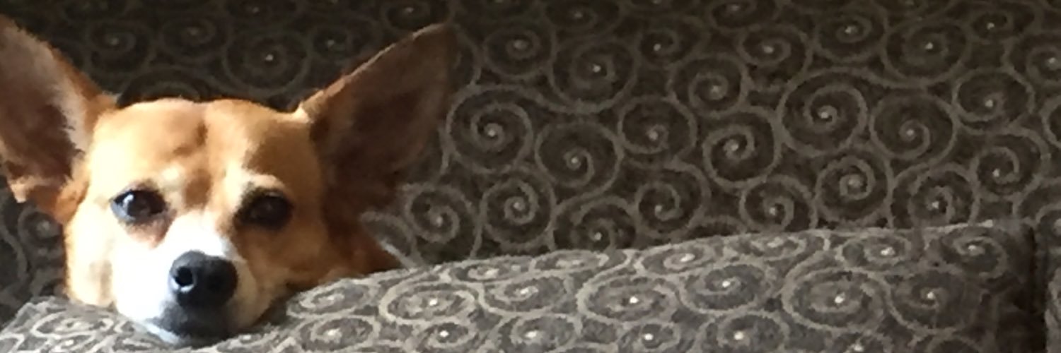 lmbabinski's profile banner image