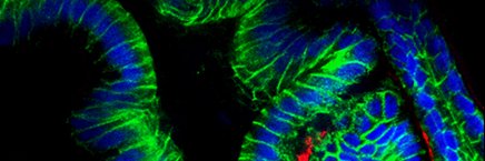 Jack Yaoxian Xu banner