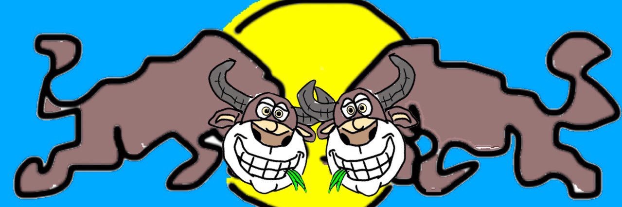 tsunda_buffalo's profile banner image