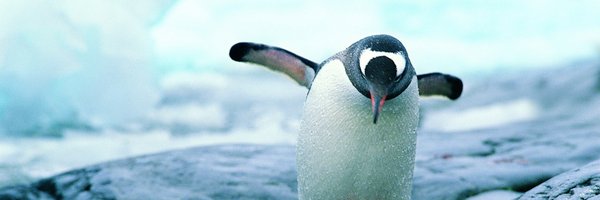 puding_p Profile Banner