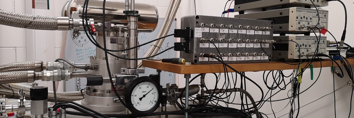 Daisy Shearer banner