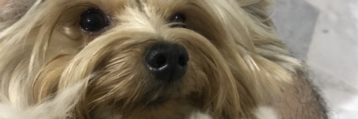 Ineshjeet's profile banner image