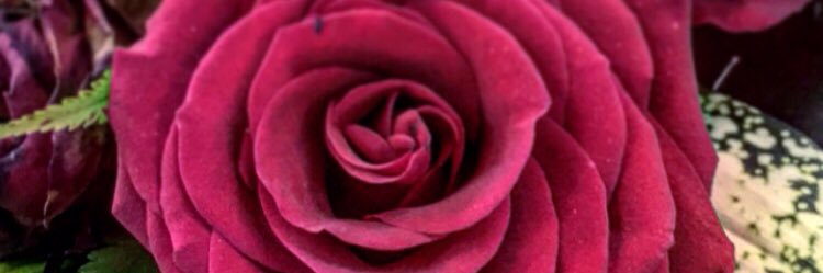 Amjid79's profile banner image