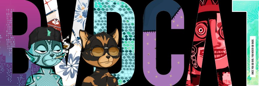 BVDNudes's profile banner image