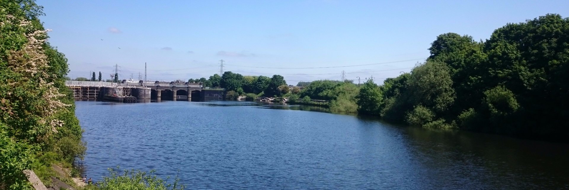 CDNDistribution banner