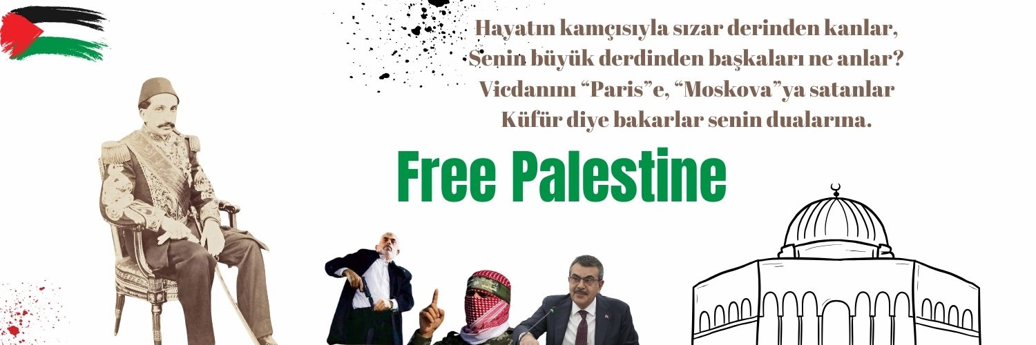 catlaktesti's profile banner image
