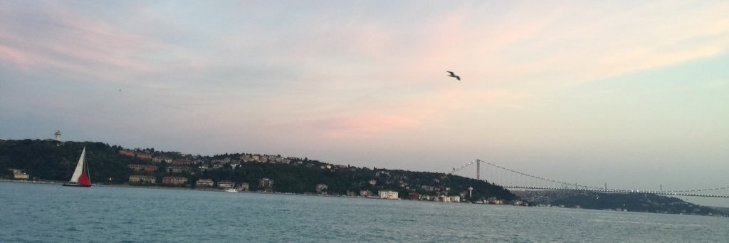 citosu's profile banner image