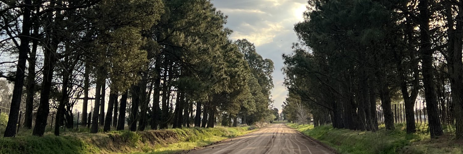 selenaacunaa's profile banner image