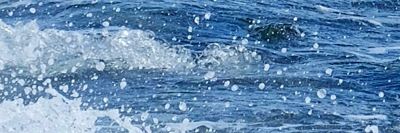 파도🌊's banner