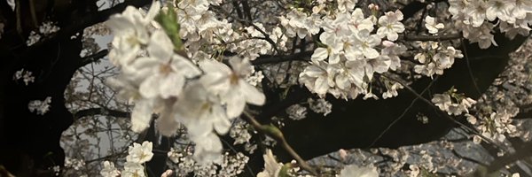 toridaisukichu Profile Banner