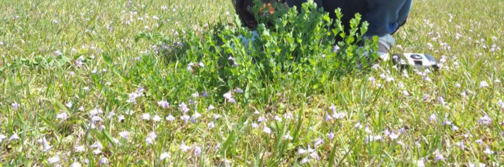 kfsms1005's profile banner image