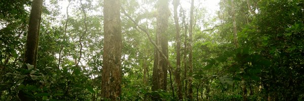 MaudMouginot Profile Banner