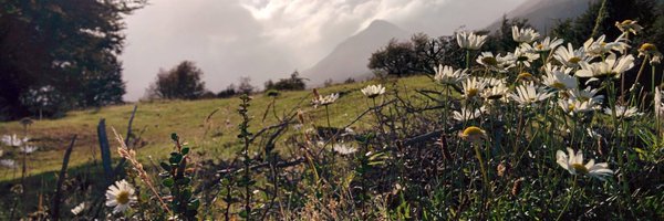 shn_kasa Profile Banner