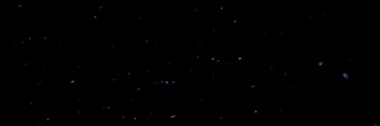 TomCohenCoudar's profile banner image