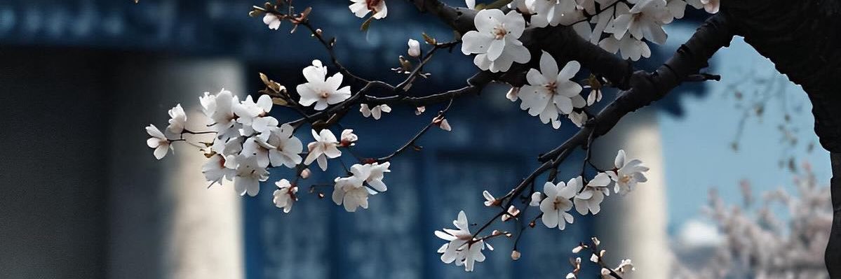 ValentinapOlmos's profile banner image