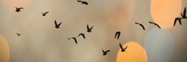om_omar65's profile banner image