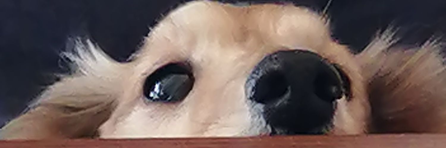 touminsitemitai's profile banner image