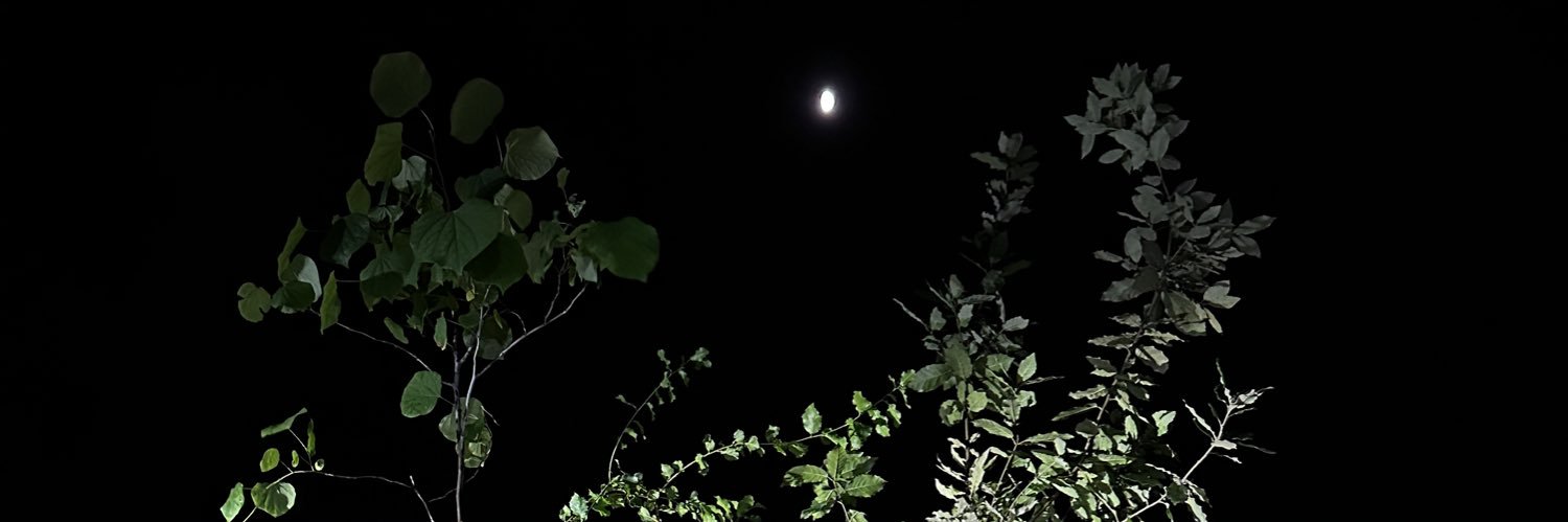 FOR EVERY STAR, A TREE. banner