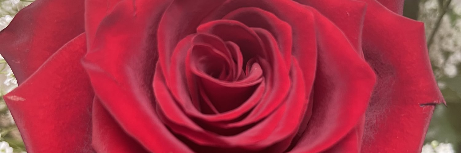 Allie G banner