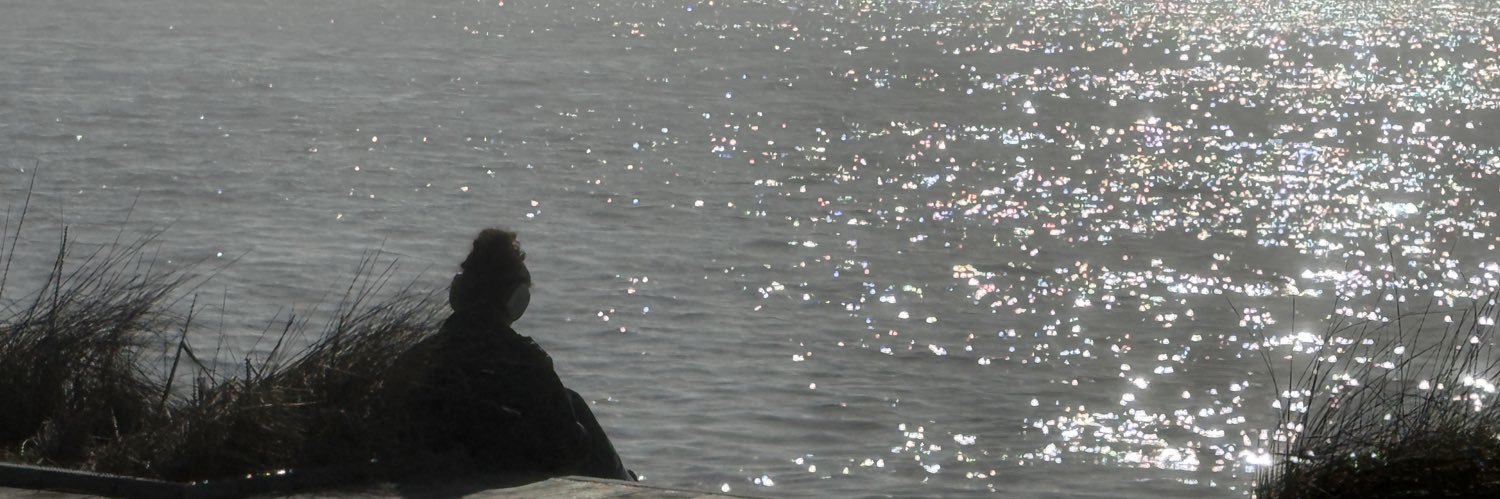qvale's profile banner image