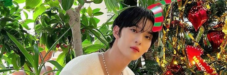 sunwoomefolla's profile banner image