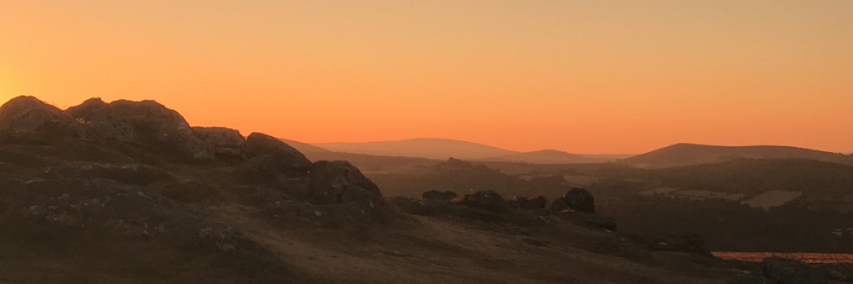 Alice Risdon banner