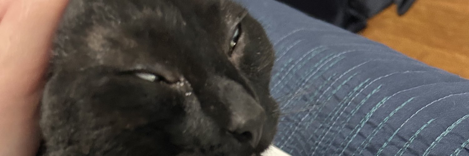 中国 acorn 🇨🇳 banner