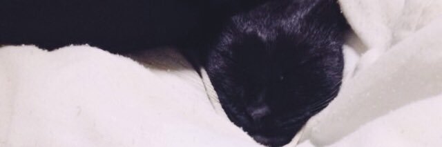 bryanambitions's profile banner image