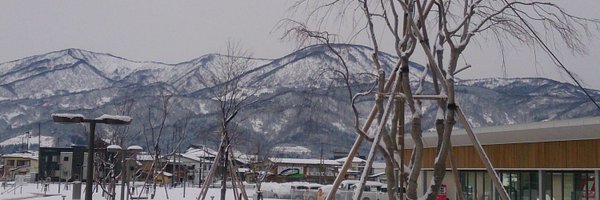 triangle_sys Profile Banner