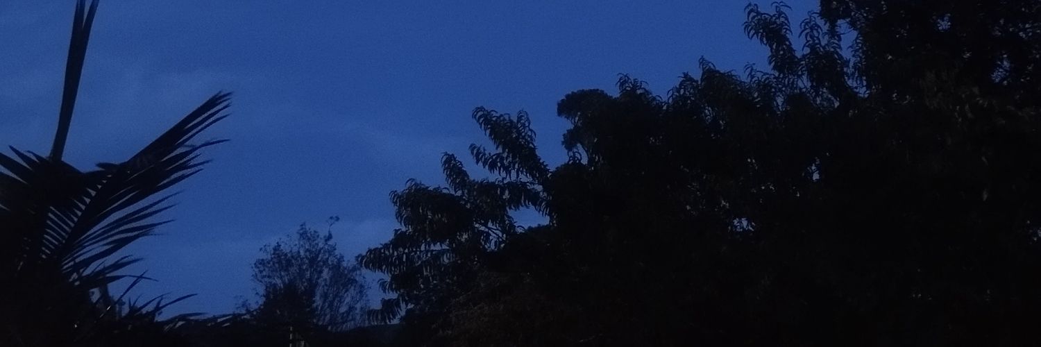 Valedimate281's profile banner image