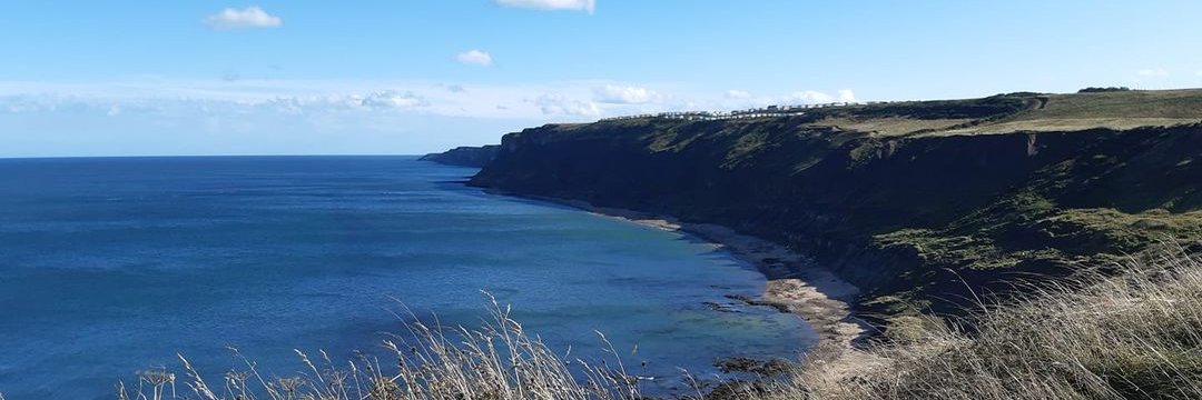 Robb Robinson banner