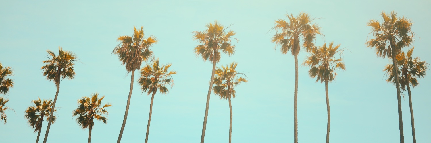 Mysticoon | Le raton techos banner