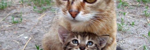 ecebilgin26's profile banner image