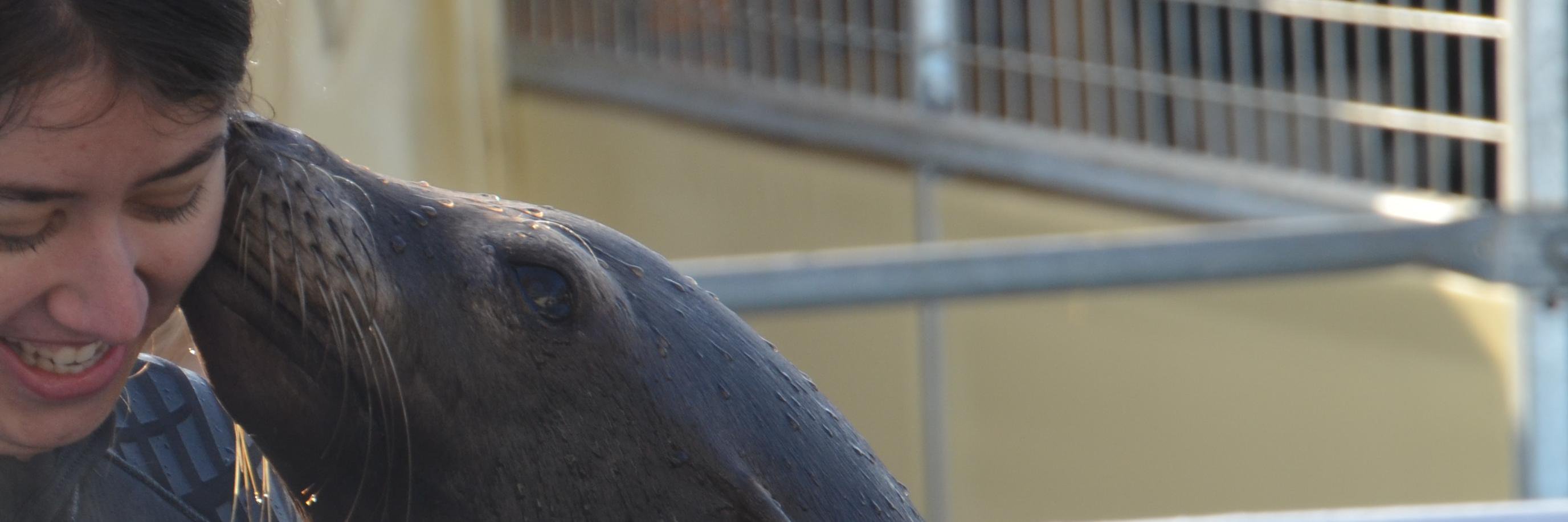 Lucie VerheizterVogel - HE  banner