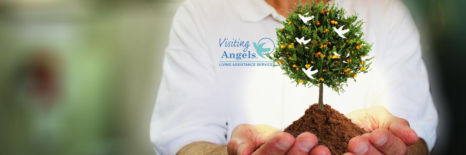 Visiting Angels banner