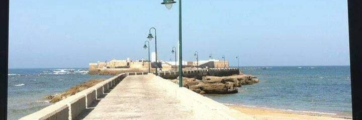 Caleti🤍💜 banner