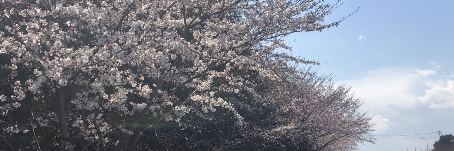 sm35312841's profile banner image