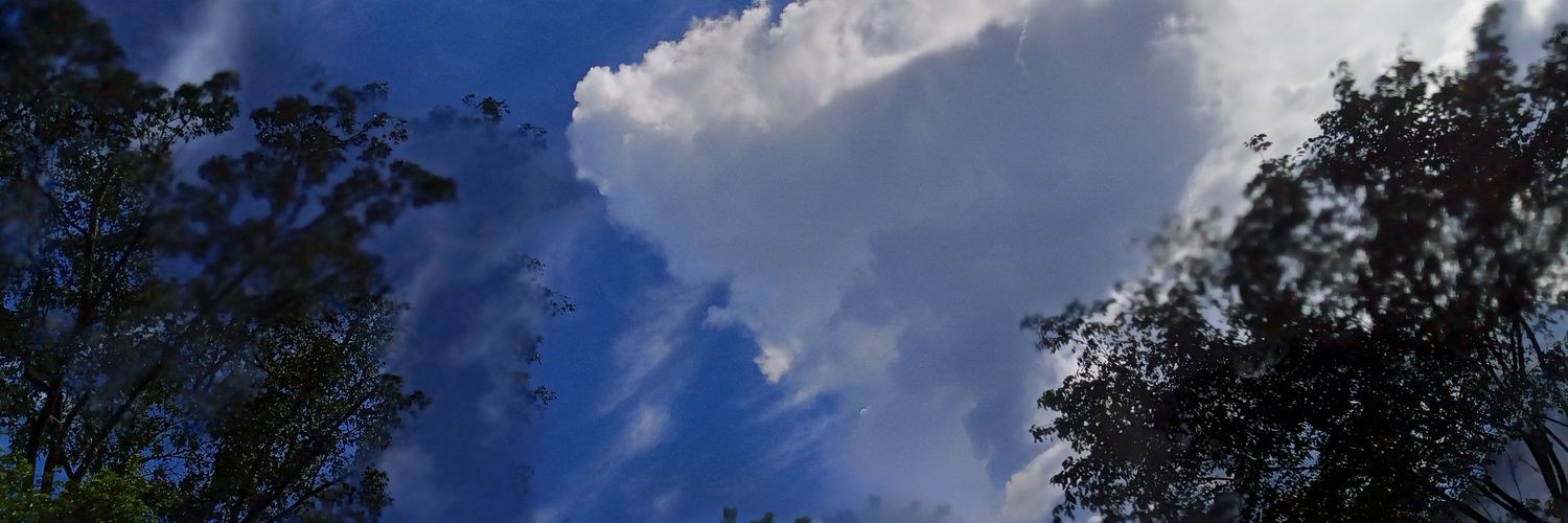 AriannyChiu's profile banner image