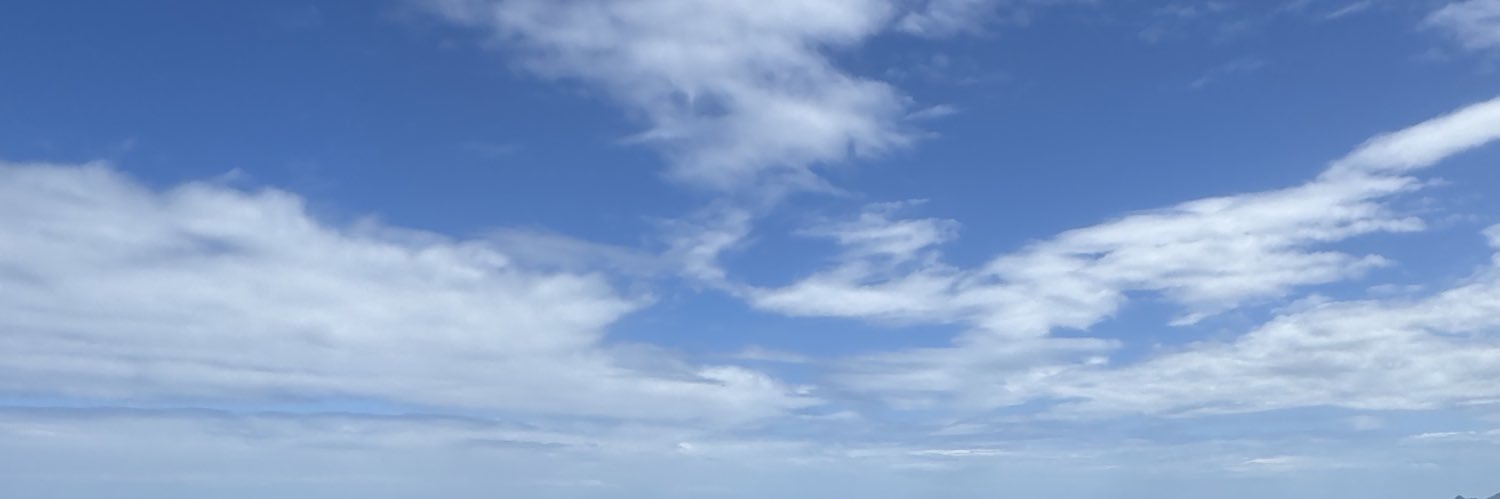 P banner