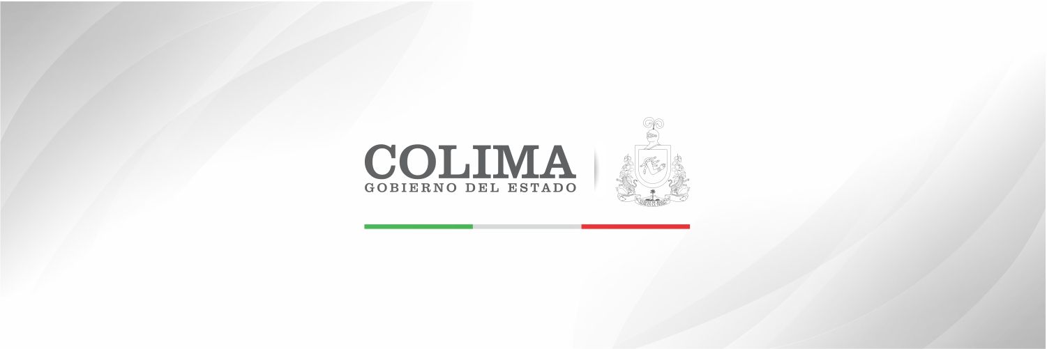 IAAPcolima's profile banner image