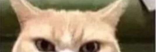 vkod1mm's profile banner image